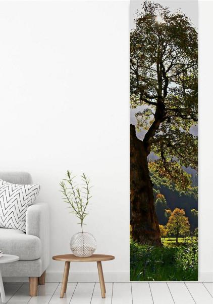 Flächenvorhang Herbstsonnenmomente  , Schiebevorhang, Schiebegardine, modern, 60 cm breit, 2,65 m h
